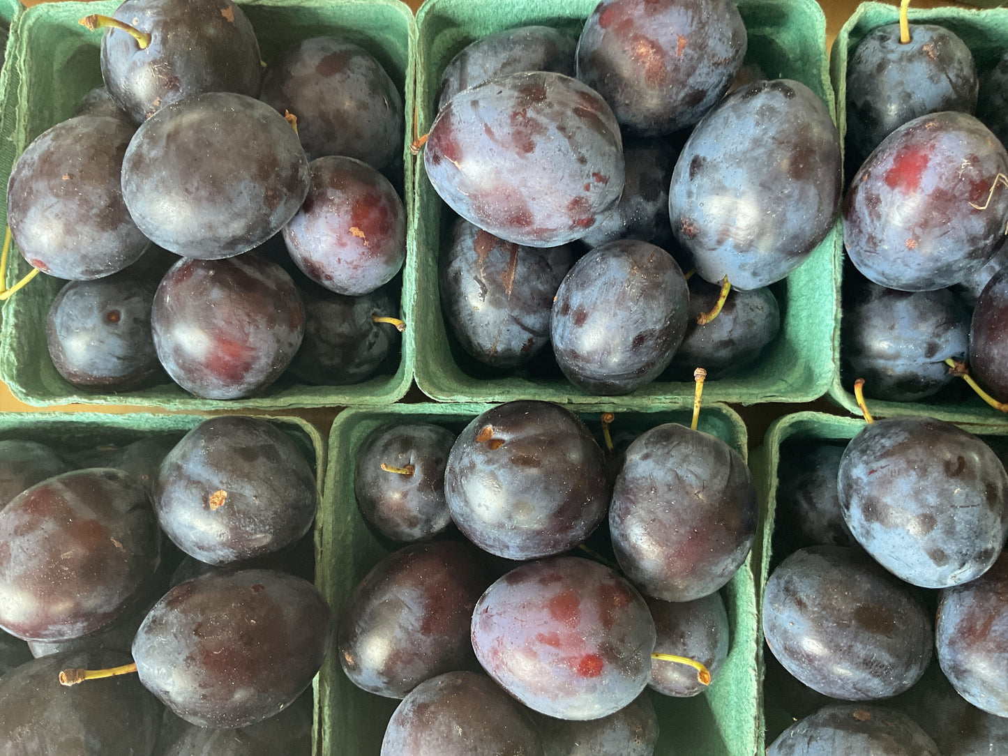 Plums