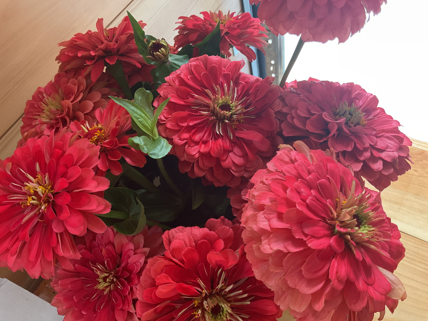 Cut Flowers