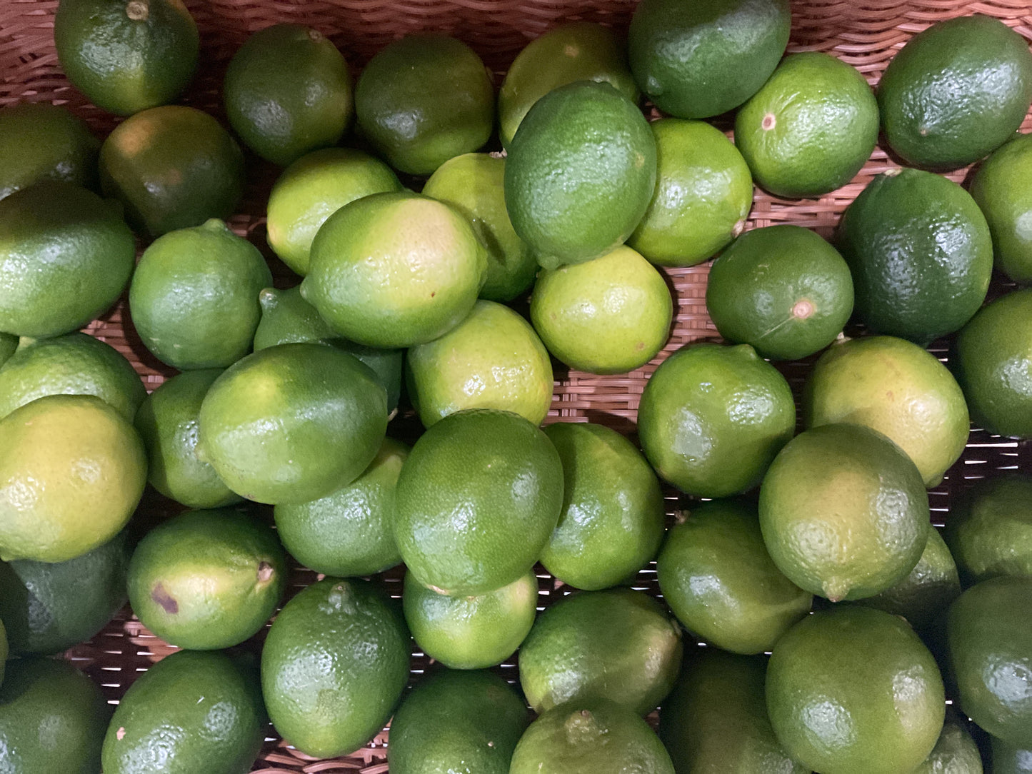 Limes
