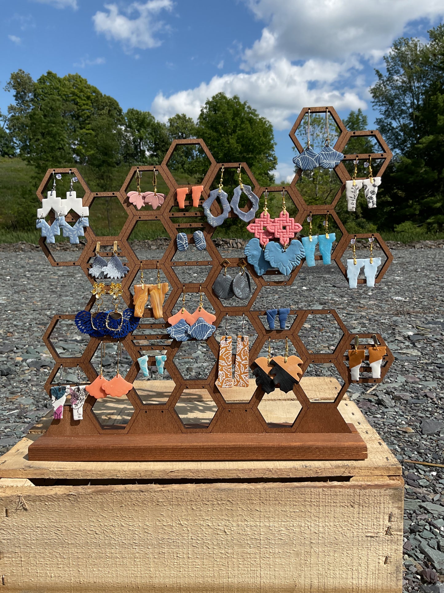 Earrings