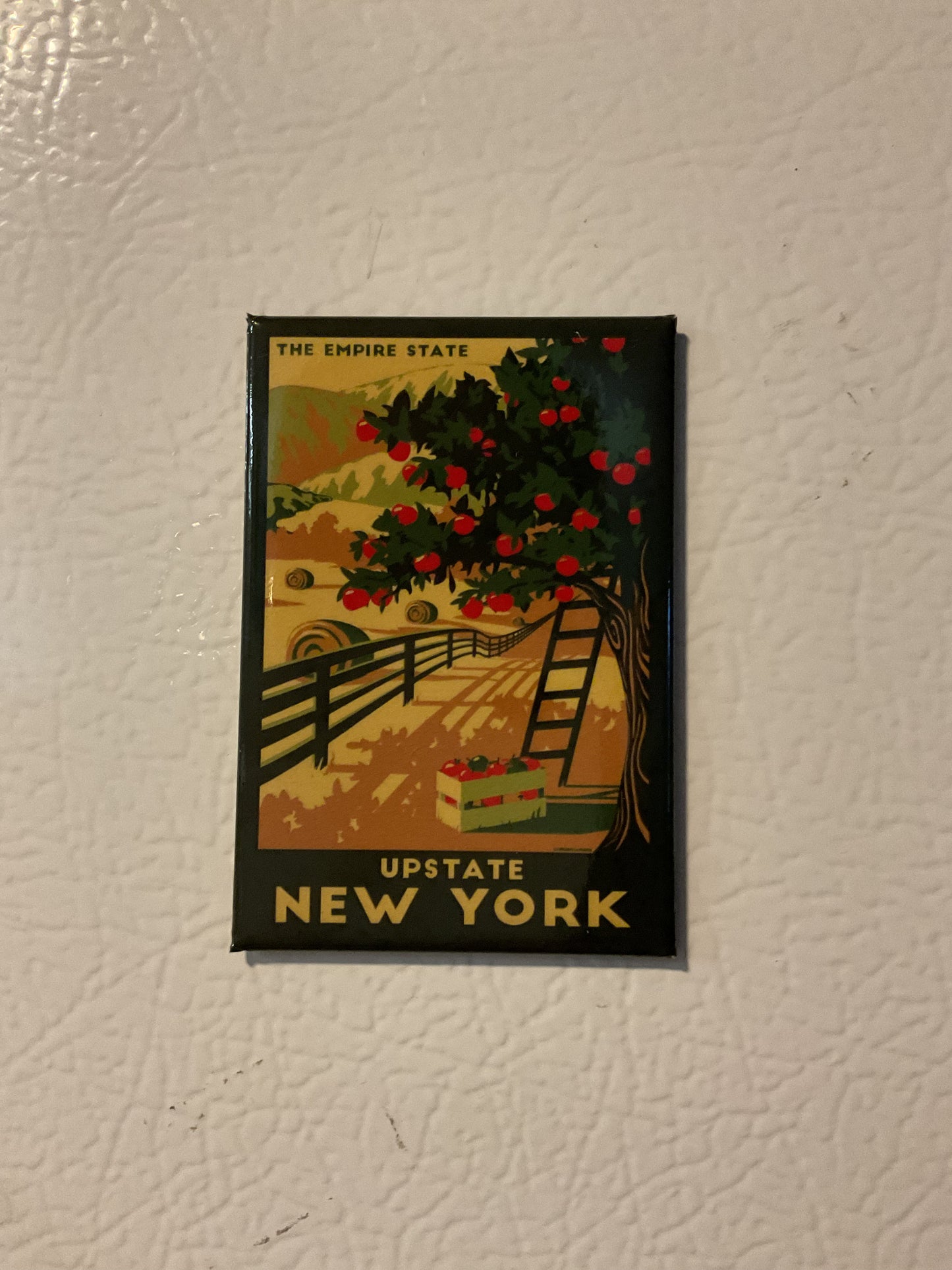 Lionheart Graphics Magnets