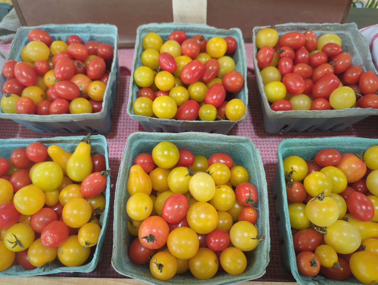 Cherry Tomatoes