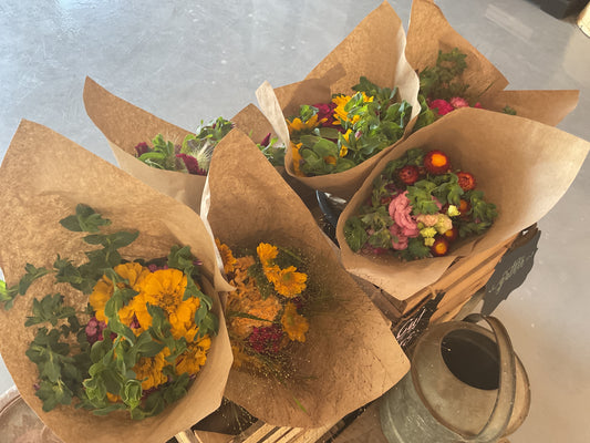 Cut Flowers