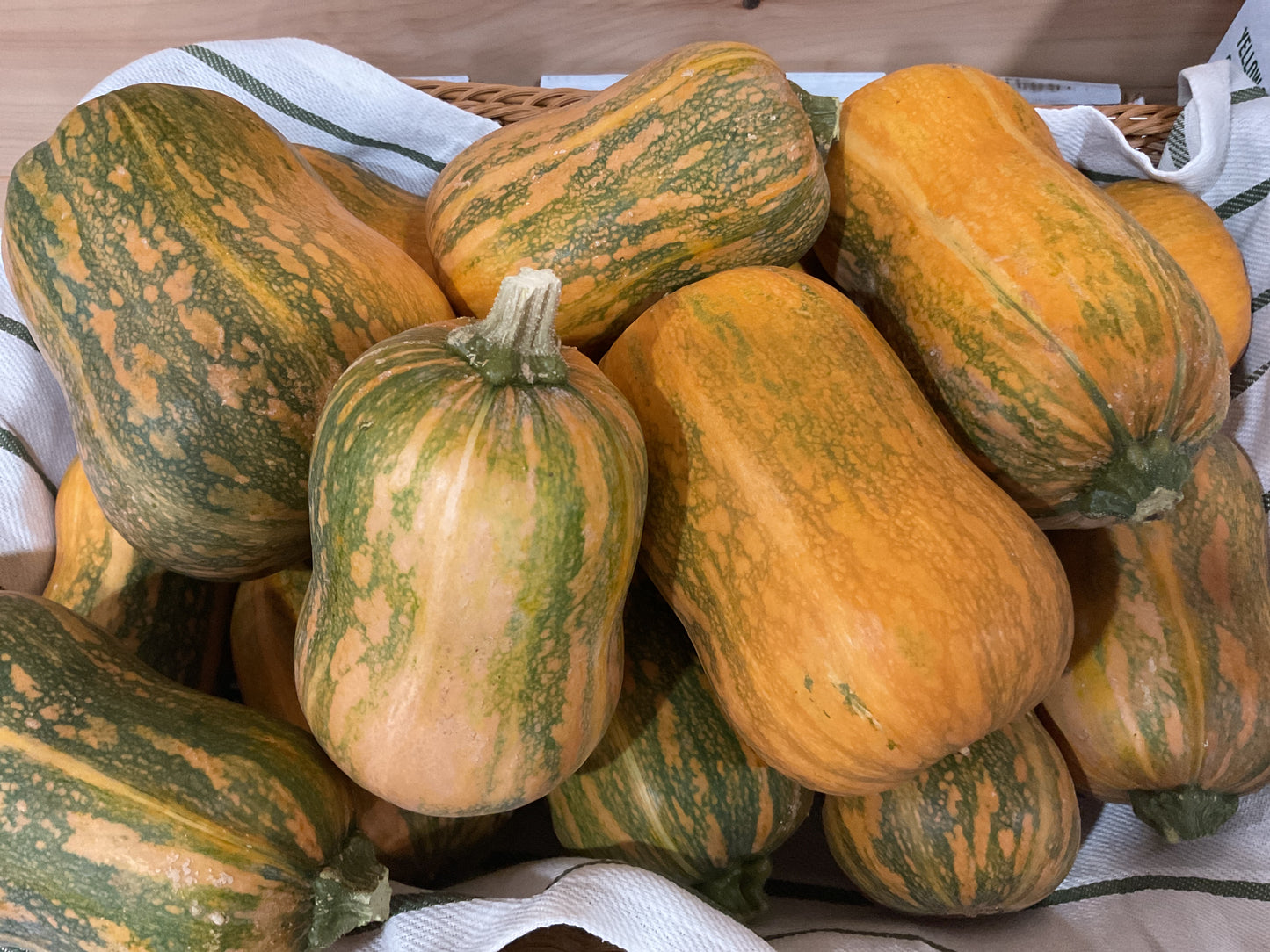 Fall Squash