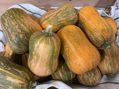 Fall Squash