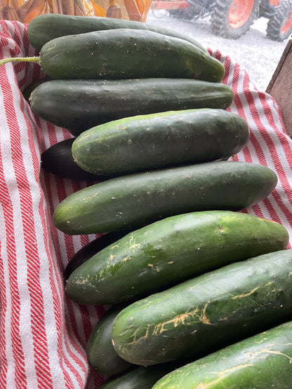 Cucumbers