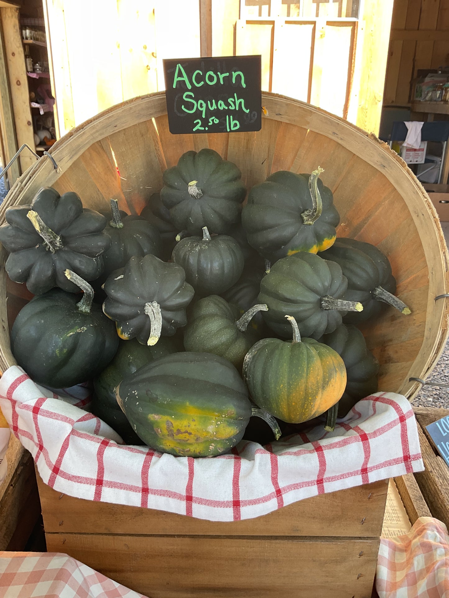 Fall Squash