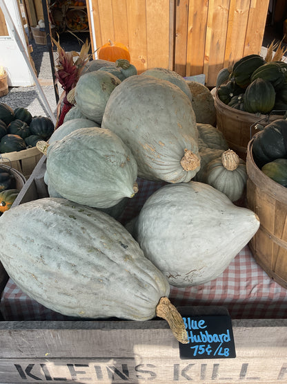 Fall Squash