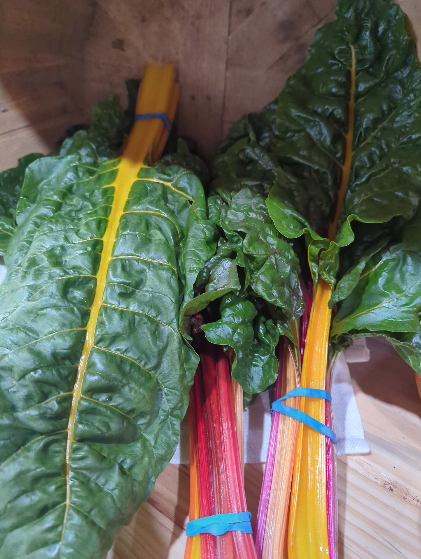 Swiss Chard